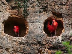 149 BIO PARC DE DOUE LA FONTAINE 4- 2016_000025